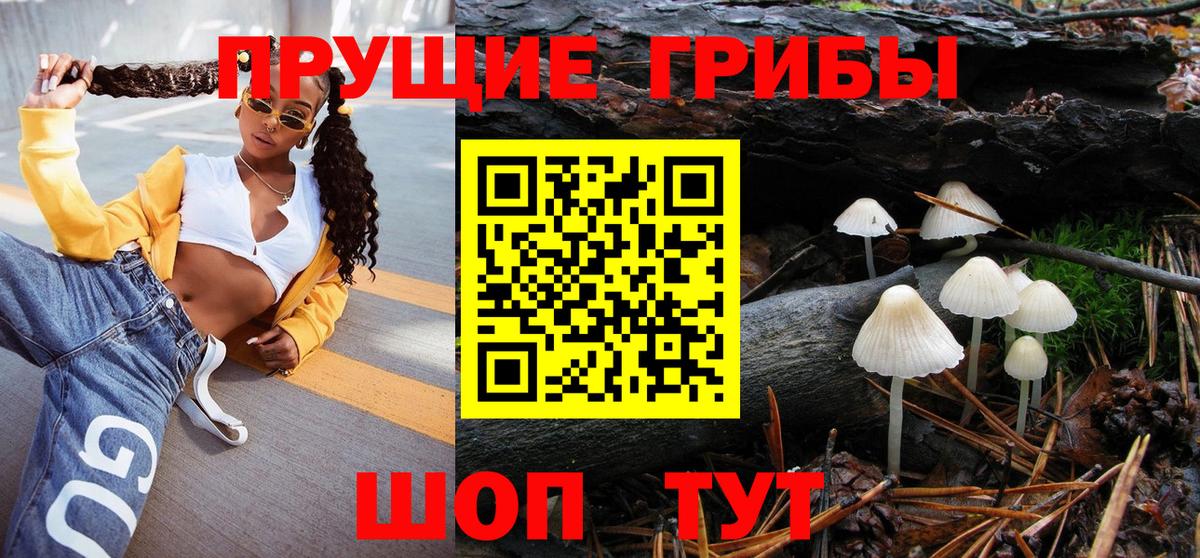 Брянск  Псилоцибиновые грибы мицелий  Вход с VPN  Галлюциногенные грибы Psilocybine cubensis 